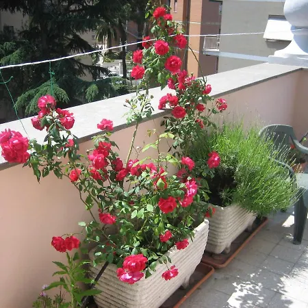 Le Terrazze Vatican Bed & Breakfast